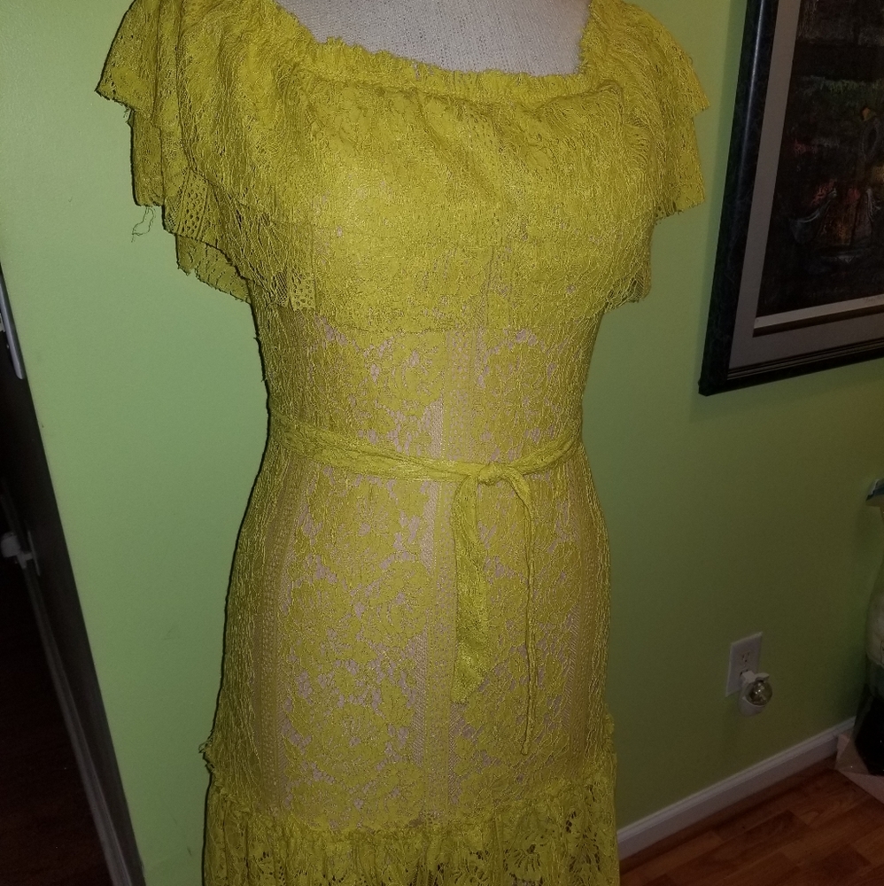 ⚡️Flirty and Feminine Lace Dress by Sharagano - Picture 3 of 7
